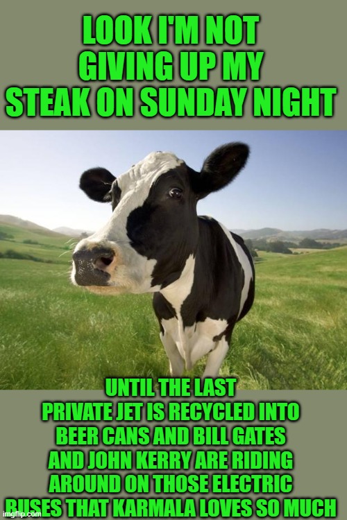 Hello ! | LOOK I'M NOT GIVING UP MY STEAK ON SUNDAY NIGHT; UNTIL THE LAST PRIVATE JET IS RECYCLED INTO BEER CANS AND BILL GATES AND JOHN KERRY ARE RIDING AROUND ON THOSE ELECTRIC BUSES THAT KARMALA LOVES SO MUCH | image tagged in global warming | made w/ Imgflip meme maker