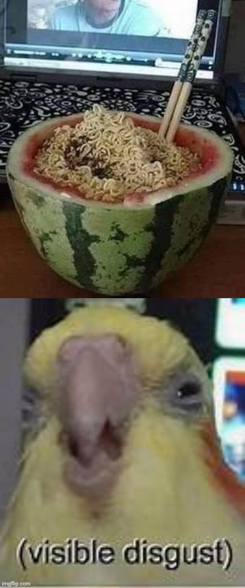 Noodles watermelon bowl | image tagged in visible disgust,noodles,watermelon,bowl,cursed image,memes | made w/ Imgflip meme maker