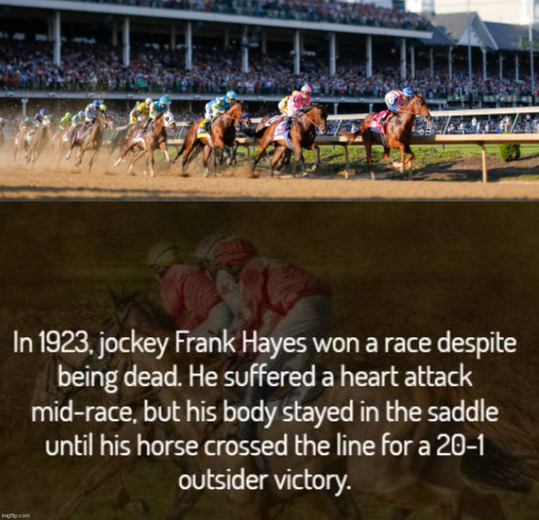 image tagged in horse racing | made w/ Imgflip meme maker