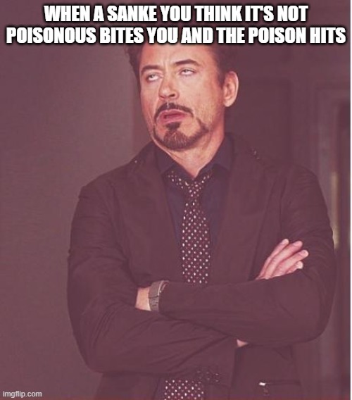 stay safe out in the wild | WHEN A SANKE YOU THINK IT'S NOT POISONOUS BITES YOU AND THE POISON HITS | image tagged in memes,face you make robert downey jr,wildlife,snake | made w/ Imgflip meme maker