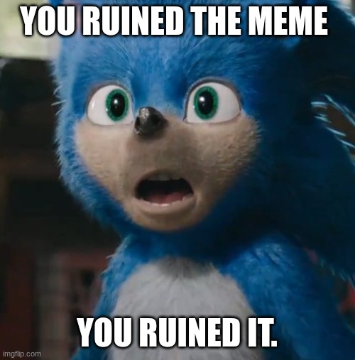 Sonic Movie | YOU RUINED THE MEME YOU RUINED IT. | image tagged in sonic movie | made w/ Imgflip meme maker