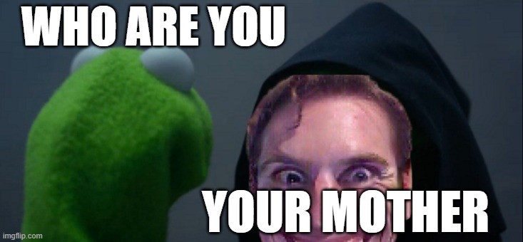 kermit meets his mom | WHO ARE YOU; YOUR MOTHER | image tagged in memes | made w/ Imgflip meme maker