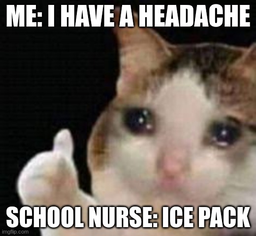 ICE | ME: I HAVE A HEADACHE; SCHOOL NURSE: ICE PACK | image tagged in approved crying cat | made w/ Imgflip meme maker