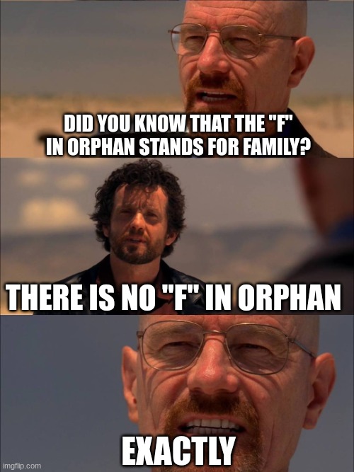 walter white with the takedown bruh | DID YOU KNOW THAT THE "F" IN ORPHAN STANDS FOR FAMILY? THERE IS NO "F" IN ORPHAN; EXACTLY | image tagged in breaking bad - say my name | made w/ Imgflip meme maker