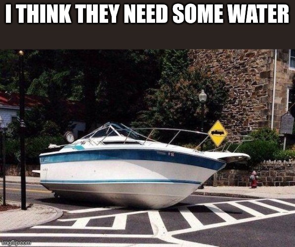 I THINK THEY NEED SOME WATER | image tagged in funny | made w/ Imgflip meme maker