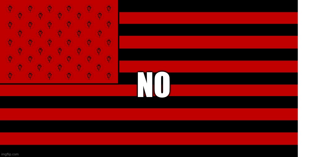 ANTI FURRY FLAG | NO | image tagged in anti furry flag | made w/ Imgflip meme maker