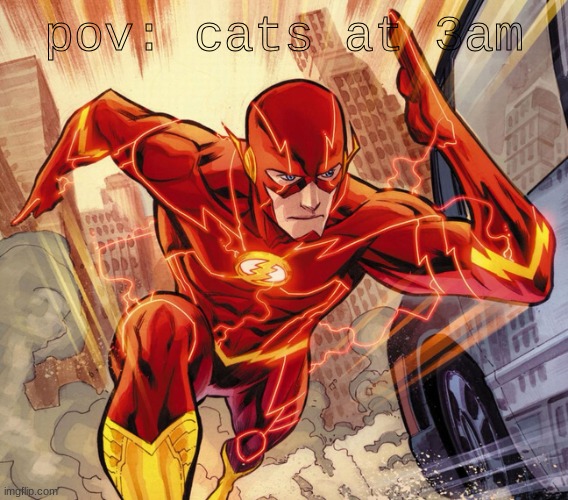 The Flash | pov: cats at 3am | image tagged in the flash | made w/ Imgflip meme maker