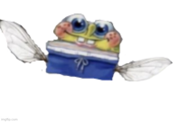 Caption this | image tagged in spongefly | made w/ Imgflip meme maker