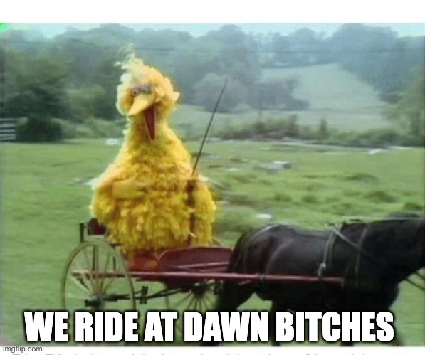 Big Bird in Carriage | WE RIDE AT DAWN BITCHES | image tagged in big bird in carriage | made w/ Imgflip meme maker