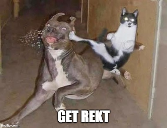 get rekt | GET REKT | image tagged in get rekt | made w/ Imgflip meme maker