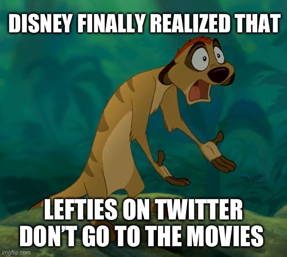 baffled timon | DISNEY FINALLY REALIZED THAT; LEFTIES ON TWITTER DON’T GO TO THE MOVIES | image tagged in baffled timon,disney,twitter | made w/ Imgflip meme maker
