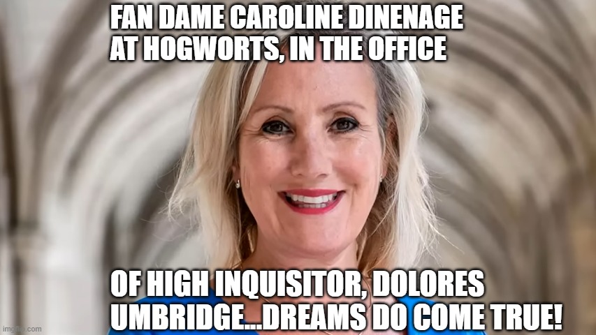FAN DAME CAROLINE DINENAGE AT HOGWORTS, IN THE OFFICE; OF HIGH INQUISITOR, DOLORES UMBRIDGE...DREAMS DO COME TRUE! | made w/ Imgflip meme maker