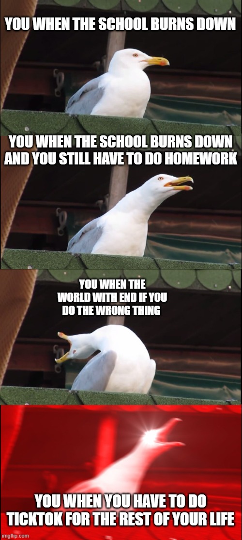 Breathe | YOU WHEN THE SCHOOL BURNS DOWN; YOU WHEN THE SCHOOL BURNS DOWN AND YOU STILL HAVE TO DO HOMEWORK; YOU WHEN THE WORLD WITH END IF YOU DO THE WRONG THING; YOU WHEN YOU HAVE TO DO TICKTOK FOR THE REST OF YOUR LIFE | image tagged in memes,inhaling seagull | made w/ Imgflip meme maker