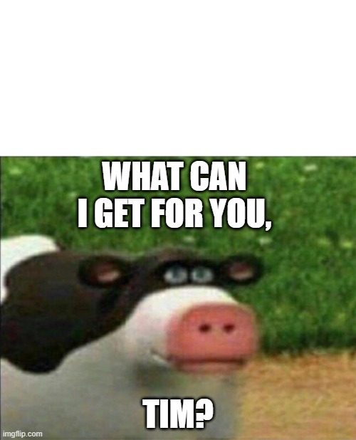Perhaps cow | WHAT CAN I GET FOR YOU, TIM? | image tagged in perhaps cow | made w/ Imgflip meme maker
