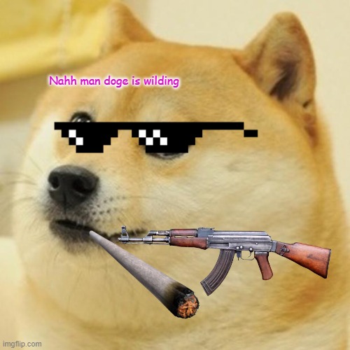 Doge | Nahh man doge is wilding | image tagged in memes,doge | made w/ Imgflip meme maker