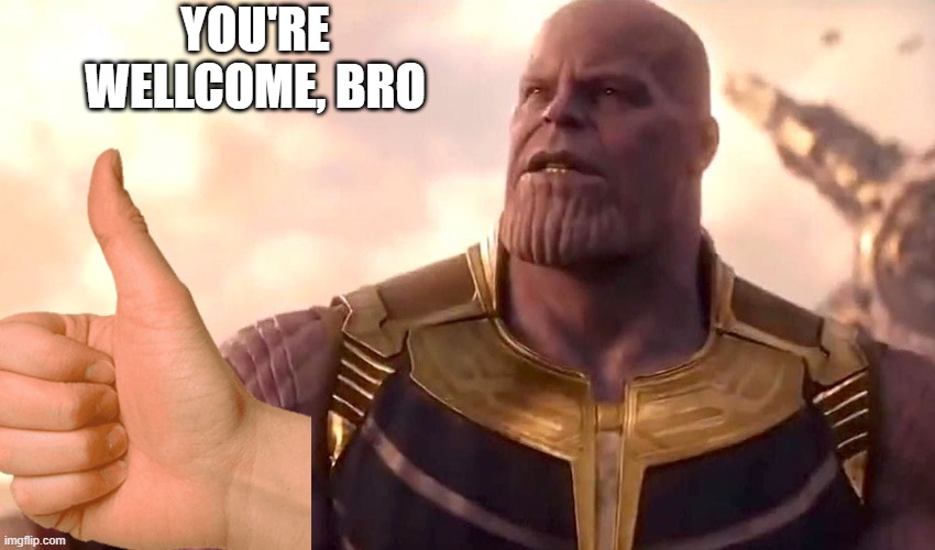 thanos snap | YOU'RE WELLCOME, BRO | image tagged in thanos snap | made w/ Imgflip meme maker