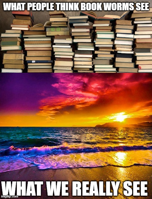 WHAT PEOPLE THINK BOOK WORMS SEE; WHAT WE REALLY SEE | image tagged in stack of books,beautiful sunset | made w/ Imgflip meme maker