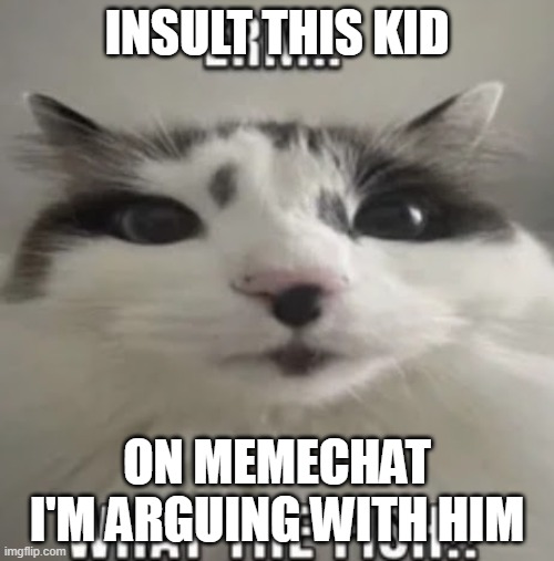 https://imgflip.com/i/802gwq | INSULT THIS KID; ON MEMECHAT I'M ARGUING WITH HIM | image tagged in erm what the fish | made w/ Imgflip meme maker