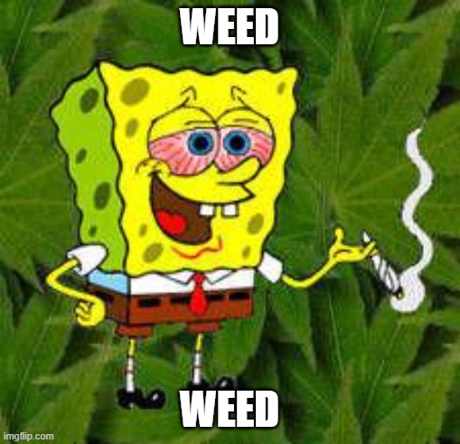 Weed | WEED WEED | image tagged in weed | made w/ Imgflip meme maker