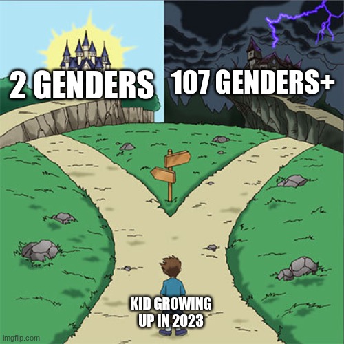 Two Paths | 107 GENDERS+; 2 GENDERS; KID GROWING UP IN 2023 | image tagged in two paths | made w/ Imgflip meme maker