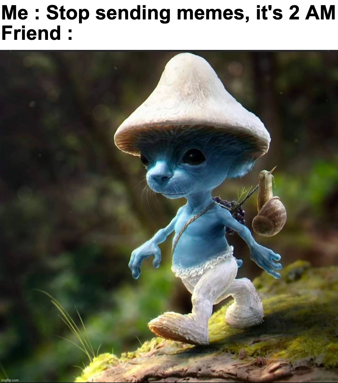 Who else | Me : Stop sending memes, it's 2 AM
Friend : | image tagged in memes,funny,relatable,smurf cat,shitpost,front page plz | made w/ Imgflip meme maker