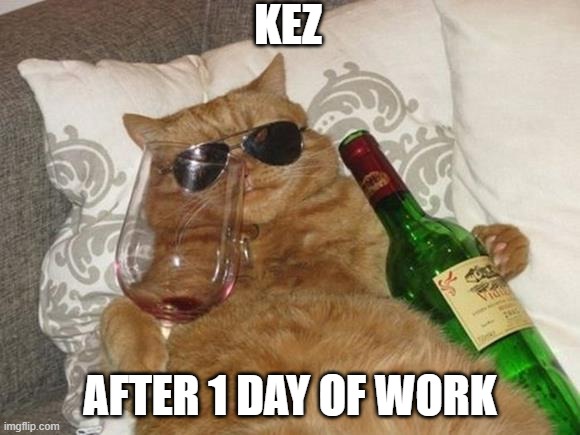 Funny Cat Birthday | KEZ; AFTER 1 DAY OF WORK | image tagged in funny cat birthday | made w/ Imgflip meme maker