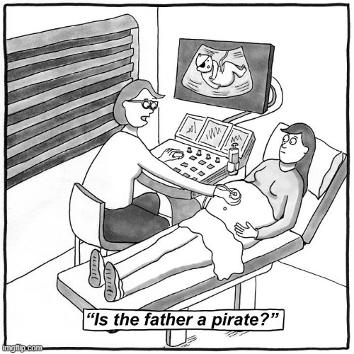 Aye Matey | image tagged in comics | made w/ Imgflip meme maker