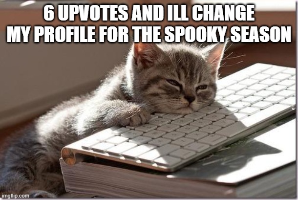 Bored Keyboard Cat | 6 UPVOTES AND ILL CHANGE MY PROFILE FOR THE SPOOKY SEASON | image tagged in bored keyboard cat | made w/ Imgflip meme maker