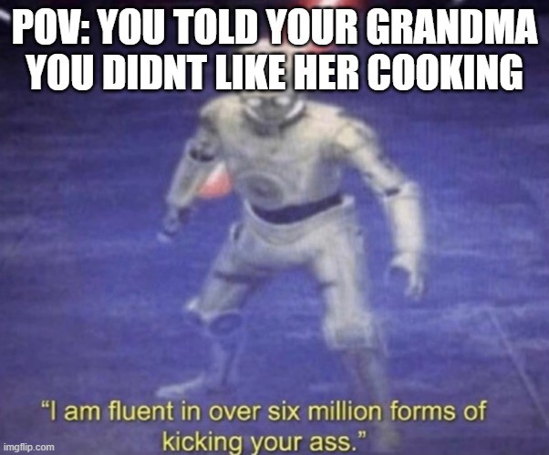 factual | POV: YOU TOLD YOUR GRANDMA YOU DIDNT LIKE HER COOKING | image tagged in i am fluent in over six million forms of kicking your ass | made w/ Imgflip meme maker