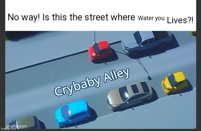 Is this the street where blank lives | Water you | image tagged in is this the street where blank lives | made w/ Imgflip meme maker