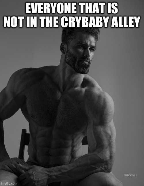 Giga Chad | EVERYONE THAT IS NOT IN THE CRYBABY ALLEY | image tagged in giga chad | made w/ Imgflip meme maker