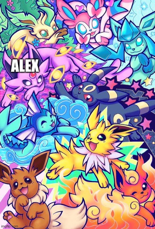 Put your name on your floofy ( pinterest ) | ALEX | made w/ Imgflip meme maker