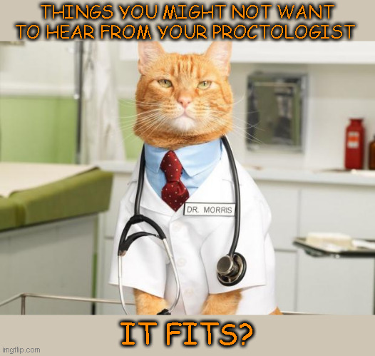 Things you rather not hear | THINGS YOU MIGHT NOT WANT TO HEAR FROM YOUR PROCTOLOGIST; IT FITS? | image tagged in cat doctor,doctor | made w/ Imgflip meme maker