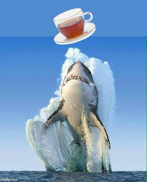 my mood today -- at least it's Friday | image tagged in great white shark,tea,caffeine,tired | made w/ Imgflip meme maker