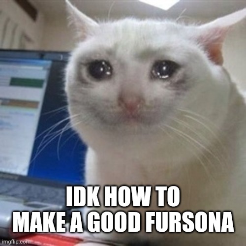 Idk if I fit in | IDK HOW TO MAKE A GOOD FURSONA | image tagged in crying cat | made w/ Imgflip meme maker