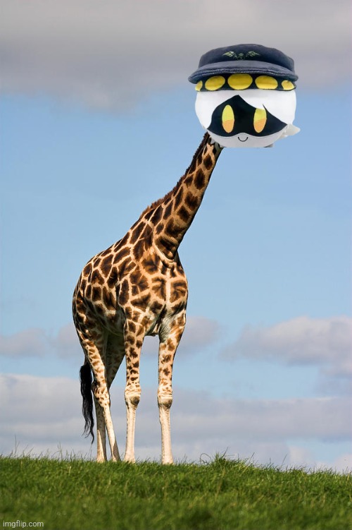 Giraffe | image tagged in giraffe | made w/ Imgflip meme maker