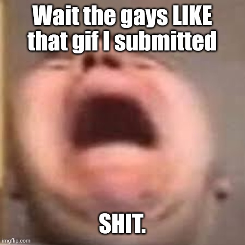 nickado cry 2 | Wait the gays LIKE that gif I submitted; SHIT. | image tagged in nickado cry 2 | made w/ Imgflip meme maker