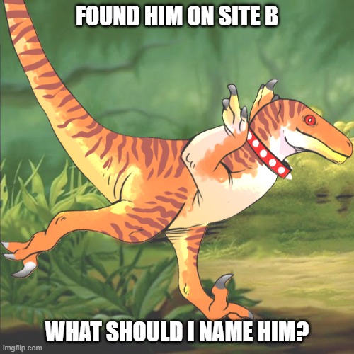 What should I name him? | FOUND HIM ON SITE B; WHAT SHOULD I NAME HIM? | image tagged in dinosaur,dinosaurs,dino,velociraptor | made w/ Imgflip meme maker