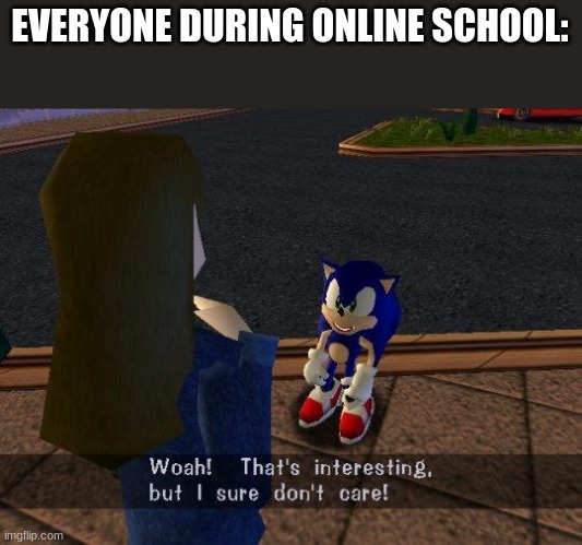 woah that's interesting but i sure dont care | EVERYONE DURING ONLINE SCHOOL: | image tagged in woah that's interesting but i sure dont care | made w/ Imgflip meme maker