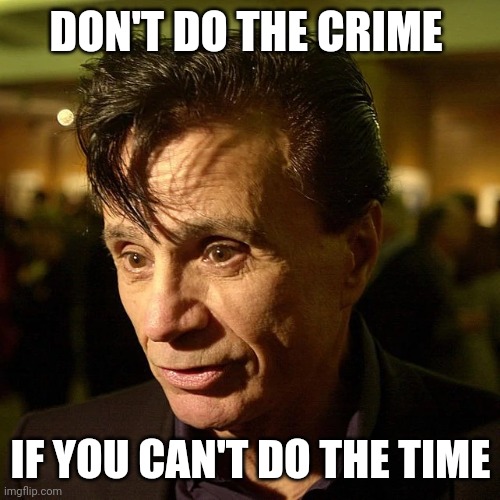 ROBERT BLAKE | DON'T DO THE CRIME IF YOU CAN'T DO THE TIME | image tagged in robert blake | made w/ Imgflip meme maker