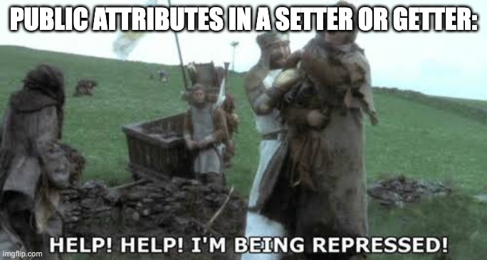 Help! Help! I’m being repressed! | PUBLIC ATTRIBUTES IN A SETTER OR GETTER: | image tagged in help help i m being repressed | made w/ Imgflip meme maker