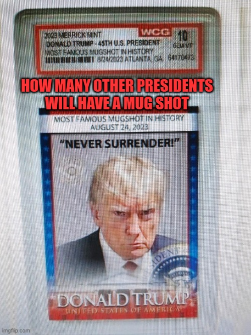Presidential | HOW MANY OTHER PRESIDENTS WILL HAVE A MUG SHOT | image tagged in president trump,politics,government,united states of america,donald trump mugshot | made w/ Imgflip meme maker