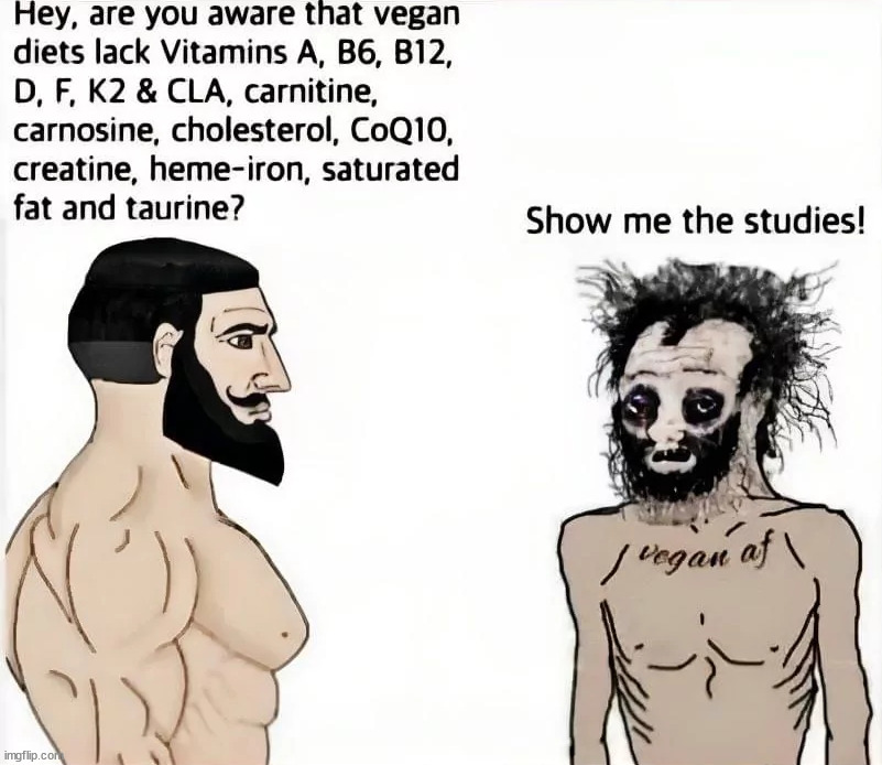 This is partially incorrect, however - you don't need taurine to have a healthy diet. | made w/ Imgflip meme maker