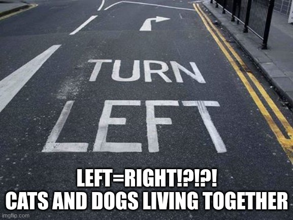 WHICH WAY DO I TURN | LEFT=RIGHT!?!?!
CATS AND DOGS LIVING TOGETHER | image tagged in you had one job | made w/ Imgflip meme maker