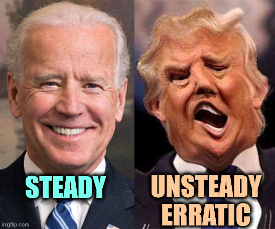 And only three years apart in age. | STEADY; UNSTEADY
ERRATIC | image tagged in biden solid stable trump acid drugs,biden,steady,trump,unsteady,erratic | made w/ Imgflip meme maker