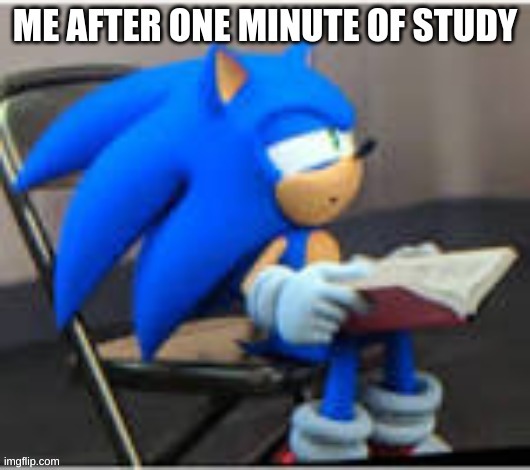 Daily Sonic Memes =) Friend Me On Roblox For More! Username: WeLikeSonic1234 | image tagged in sonic the hedgehog,sonic | made w/ Imgflip meme maker