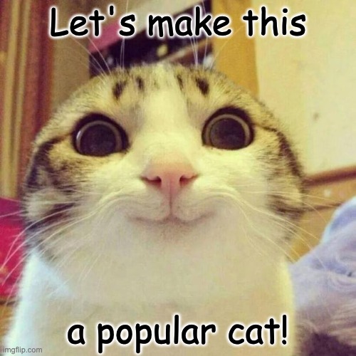 let's see | Let's make this; a popular cat! | image tagged in memes,smiling cat,cats,cat | made w/ Imgflip meme maker