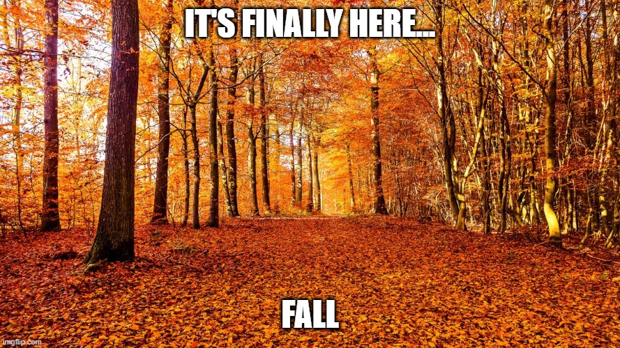 IT'S FINALLY HERE... FALL | made w/ Imgflip meme maker