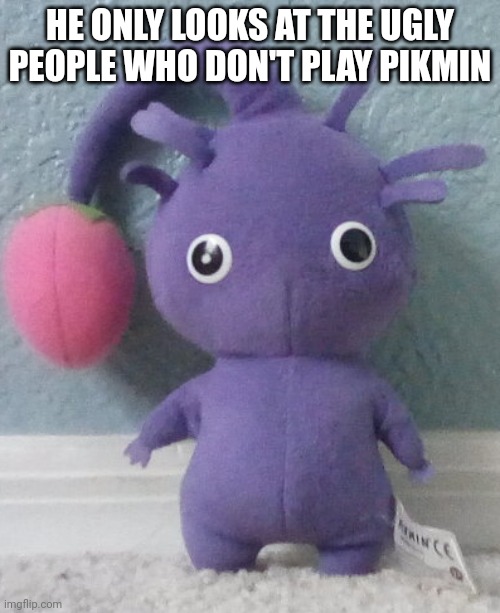 Purple pikmin | HE ONLY LOOKS AT THE UGLY PEOPLE WHO DON'T PLAY PIKMIN | image tagged in purple pikmin | made w/ Imgflip meme maker