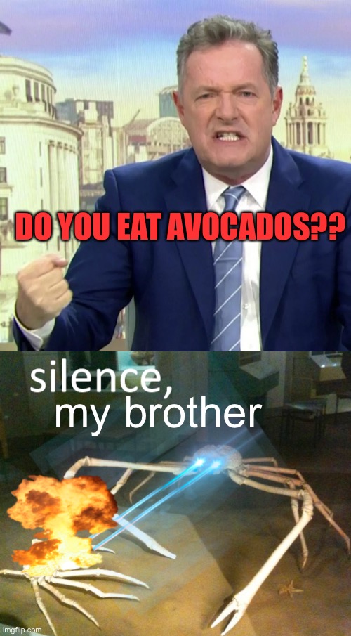 Fractional IQ | DO YOU EAT AVOCADOS?? my brother | image tagged in piers morgan mad face,silence crab,memes | made w/ Imgflip meme maker